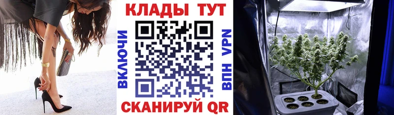 Где продают наркотики Беслан Гашиш  Псилоцибиновые грибы  МЕФ  МАРИХУАНА  Кокаин 