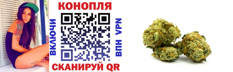 Конопля гибрид Беслан